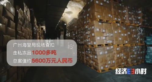 海關重拳出擊 查獲走私凍品4.9萬噸，部分竟源自非洲豬瘟高發疫區，國內貿易代理敲響安全警鐘